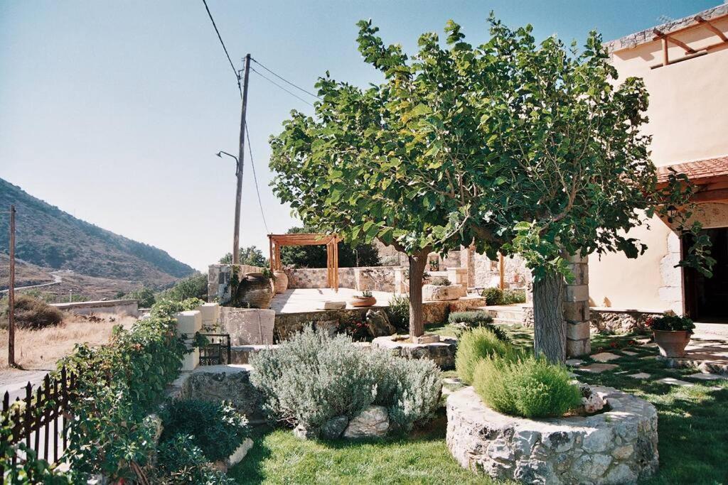 Traditional Villa With Pool In Sfakia Imbros ภายนอก รูปภาพ
